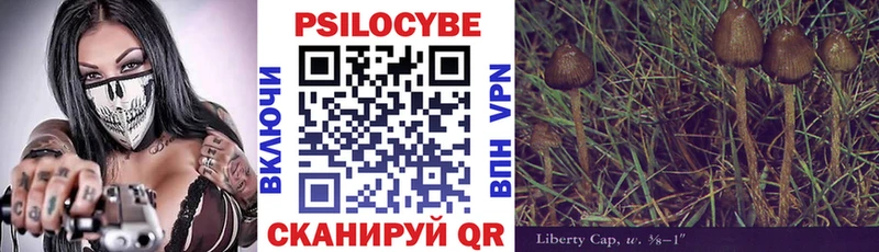 дарк нет формула  цены наркотик  Махачкала  Галлюциногенные грибы Magic Shrooms 